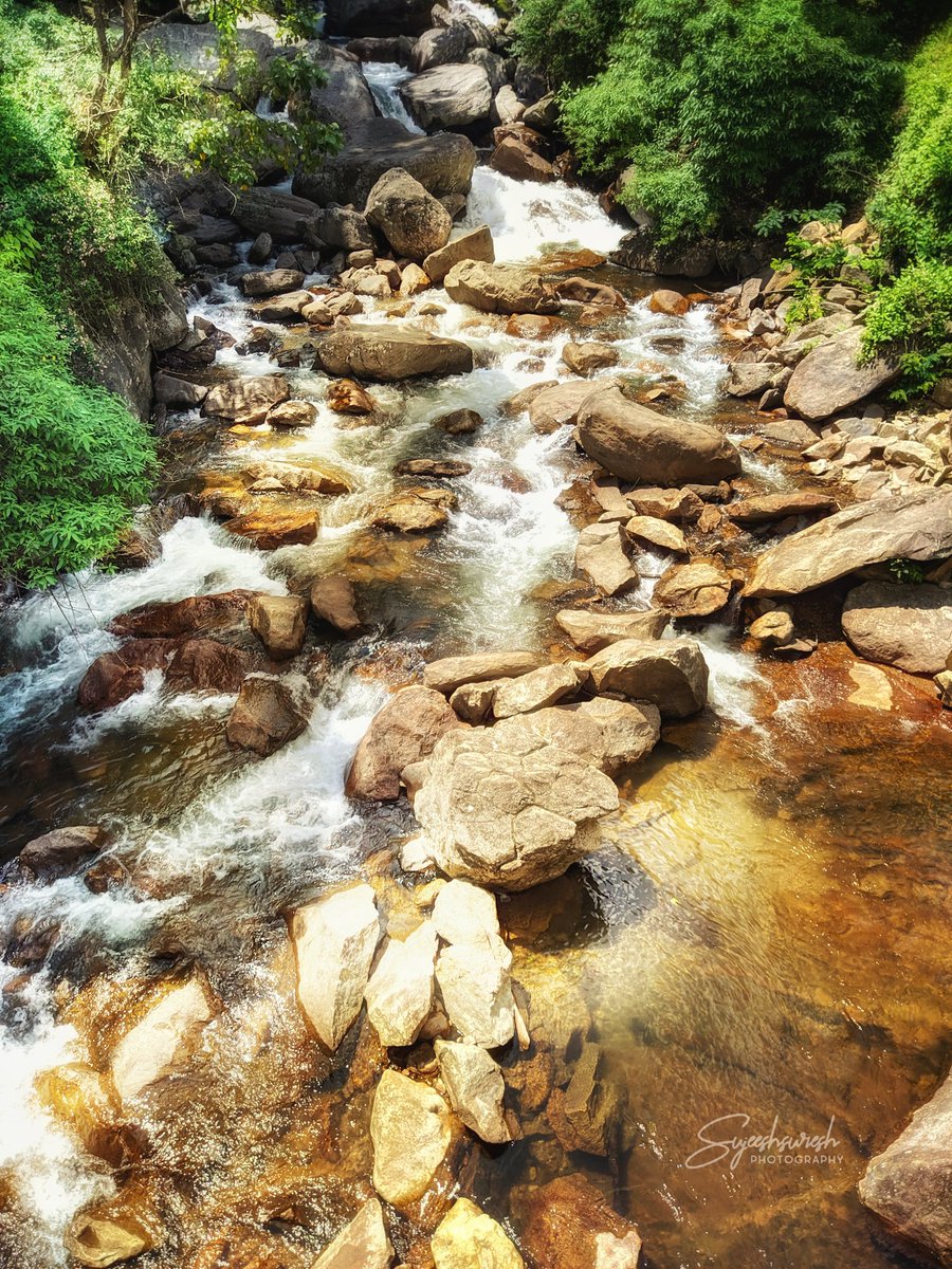 Sujeesh_Suresh's tweet image. Lakkom Waterfalls,Devikulam,Munnar
.
.
.
.
#lakkomwaterfalls #devikulam #munnar #munnarhills #munnardiaries #placestosee #munnarvibes #heavenonearth #traveldiaries #munnardiaries #shotonphone #makelifearide #motorcyclediaries #sujeeshsureshphotography