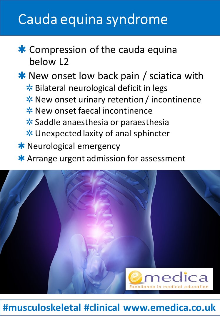 GP Training Support tweet media