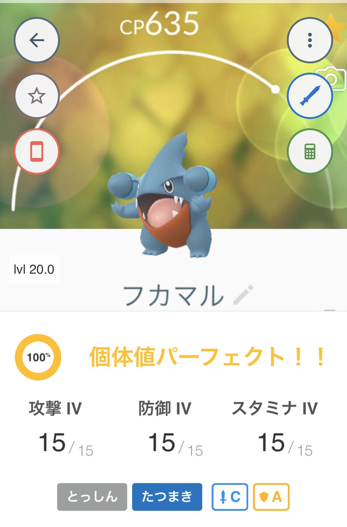 K Zu Poke Go フカマル ポケモンgo フカマル 個体値100 T Co F93hqdg2zr Twitter