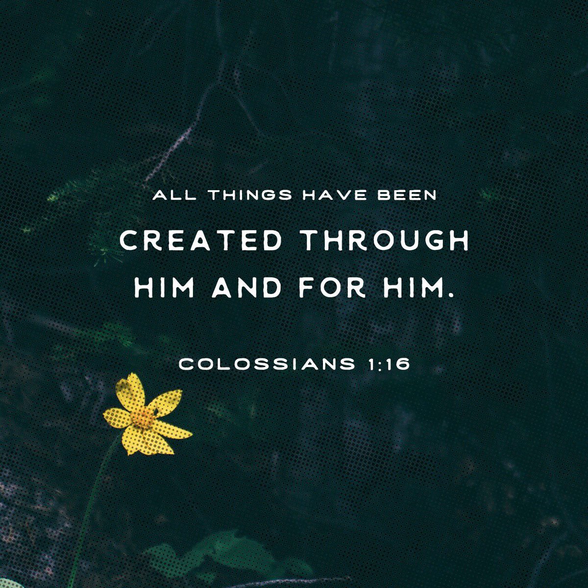 PhilHenryPG's tweet photo. Why do I believe that God, through Christ, will #SaveAll and #RestoreAll? Because #Colossians 1:16 says God created all things and #Revelation 21:6 says He will make all things new! Here are more reasons; https://t.co/fVGJkZBgqz … #ChristianUniversalism https://t.co/4IbgVsiuee