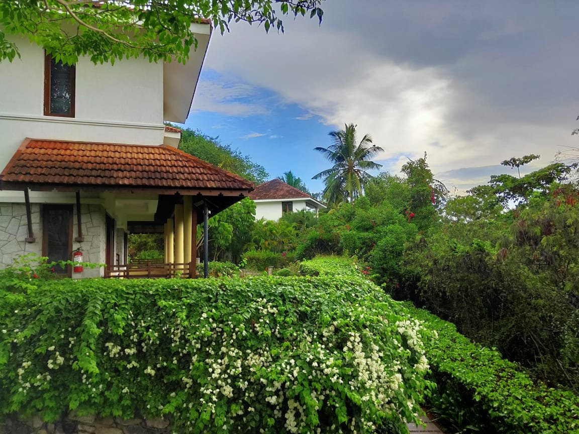 WindowToLuxury's tweet photo. Set within a verdant cliff-top coconut grove, @NiraamayaGroup Surya Samudra offers stunning views of the coastline, interesting culinary experiences, and monsoon-driven wellness immersions at the award-winning Niraamaya Spa.

Contact us through https://t.co/cSU1qDusUI https://t.co/qjkVWm3LR4