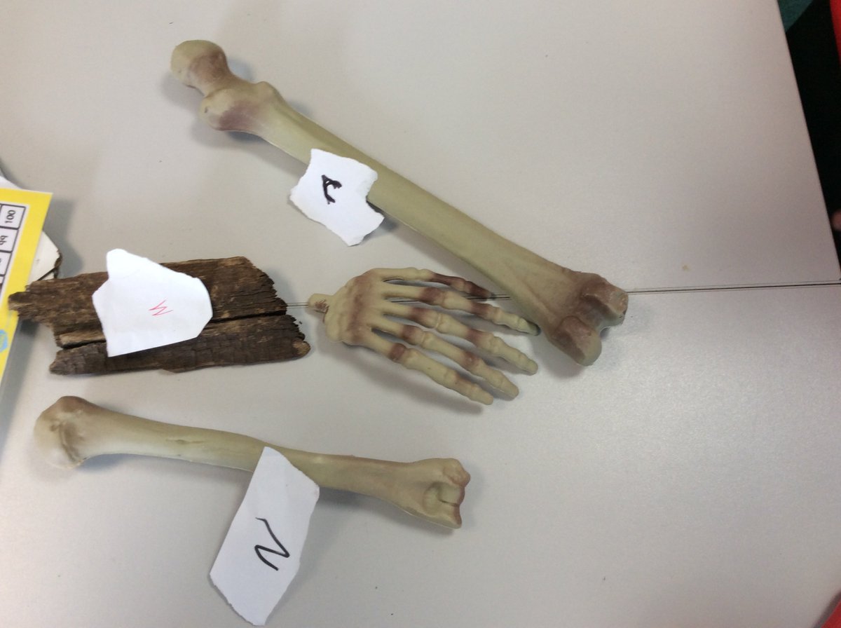 High Halstow Primary Academy tweet media