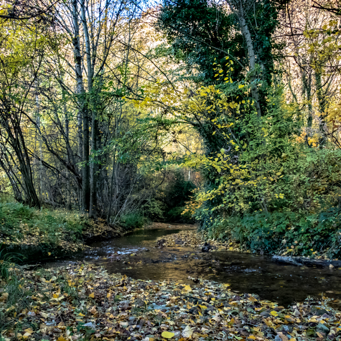 SMABB38's tweet photo. 💧 La Bourbre et ses affluents au quotidien 💧
📷 Photo par Michel GONZALEZ 📷

#Bourbre #Riviere #Seuil #Continuiteecologique #Eau #Isere #ValsduDauphiné 
#SMABB #bassindelabourbre #zoneshumides #amont #aval #ressourceseneau #syndicatdebassin #bassinversant https://t.co/KK8kAdKz1G