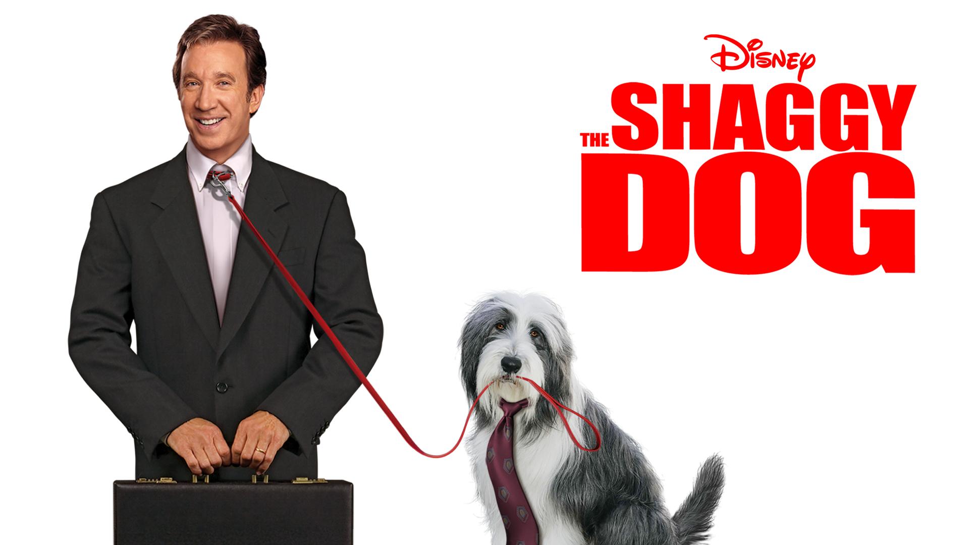 shaggy dog movie