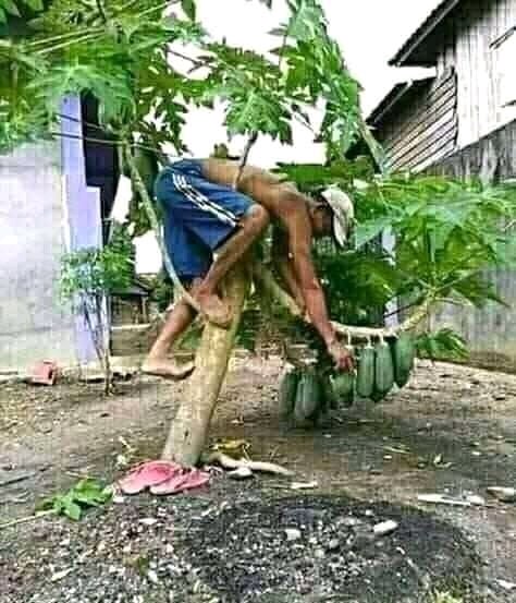 gitashjunior's tweet image. 