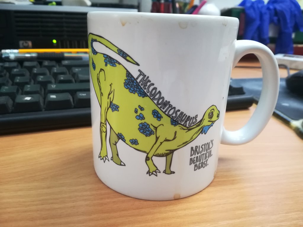 For #EarthSciWeek have a look at my favourite work mug, featuring the amazing Bristol Dinosaur Thecodontosaurus! #ShowUsYourMug @OriginalGCG @bristolmuseum @BristolPalaeo @BristolDino1 @grimble78