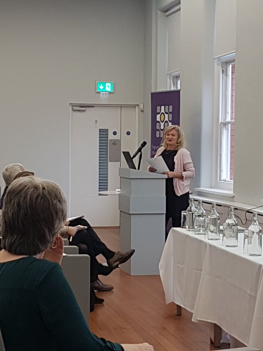 PEIN_Ire's tweet photo. Marian Quinn opening launch of Child Health and ACEs policy papers today. https://t.co/qZX07xTocl