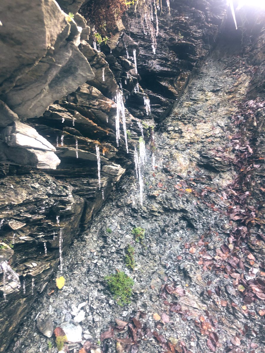 LandslideLouise's tweet image. This #fault is the rupture surface of a large rockslide in Troms. It (the gouge) has been dated to the Permian but the #rockslide is very active today- indicating postglacial reactivation. It’s nice to find such an excellent exposure of both a sliding surface and fault surface