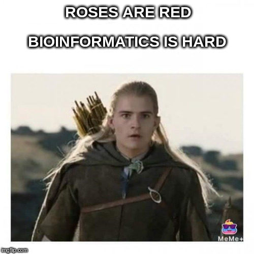 #Bioinformatics