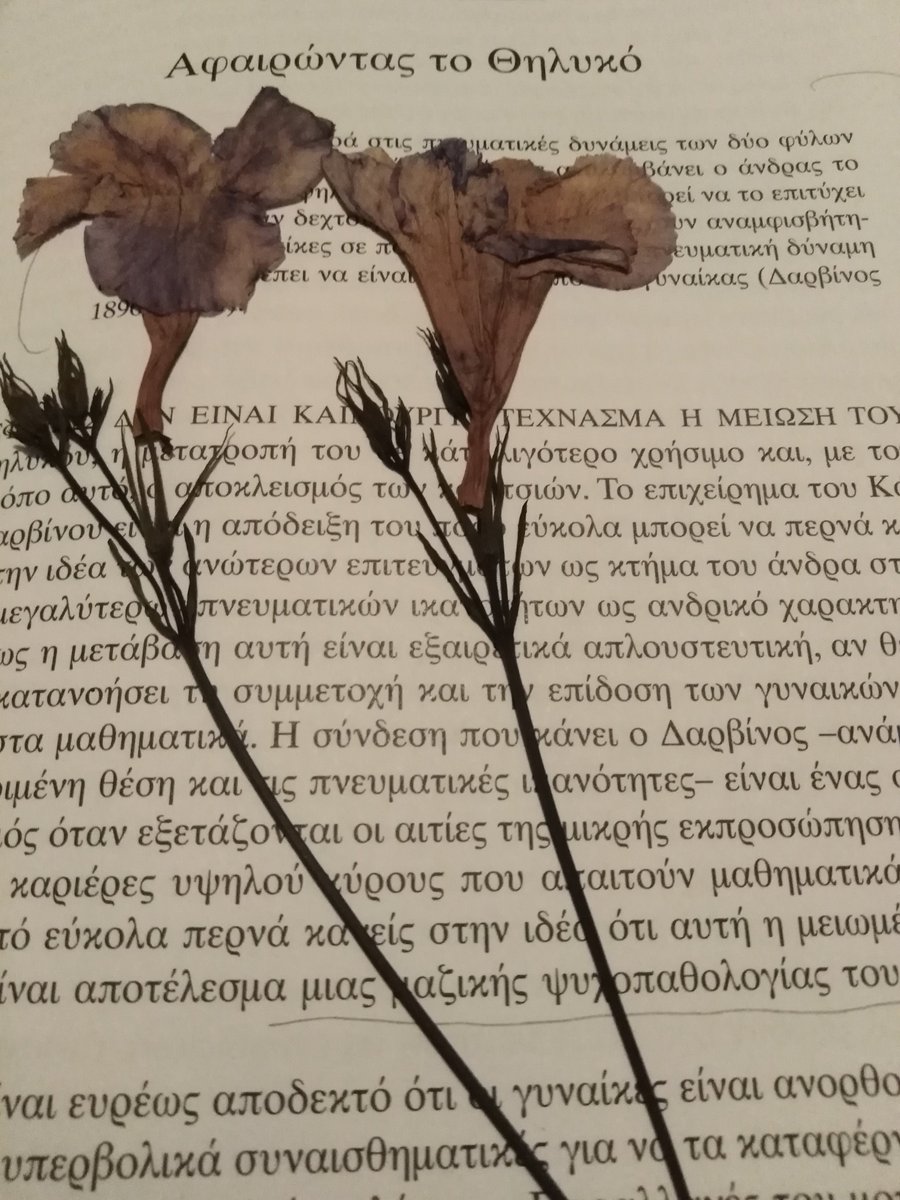 GecmGreece's tweet photo. "Eίναι επιπόλαιο να ισχυριστούμε ότι μπορούμε εύκολα να ξεσκεπάσουμε τι πραγματικά συμβαίνει, ή την πραγματική επίδοση των κοριτσιών.Η έρευνά μας γίνεται μια διαδικασία α��εμπλοκής, απελευθέρωσης μας από την ύφανση ενός ιστού που έχουμε παγιδευτεί."V.Walkerdine https://t.co/KbHNs9klSl
