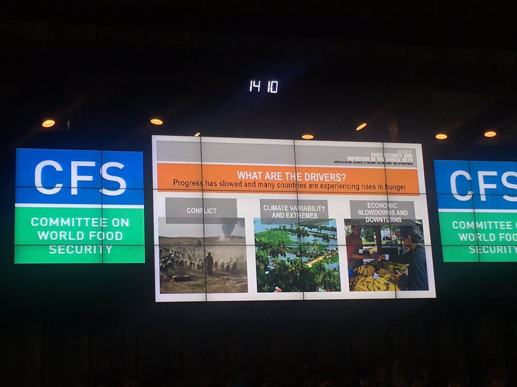 YemenEmb_Rome's tweet photo. Mission delegation headed by HE Asmahan Altoqi participate in FAO 46th session of the committee on food security. Conflicts continue to be primary drivers for hunger and food insecurity. Ending conflicts becomes an imperative more than ever. #EndConflicts #Yemen #FAO https://t.co/dbjU0NvqRm