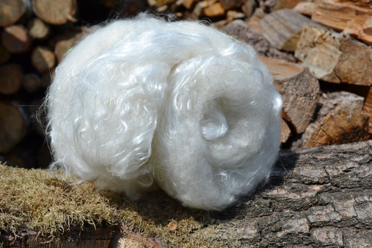In honour of #woolweek - here comes the fluff - Bluefaced Leicester wool, so soft, so curly and all natural AND 100% biodegradable! 🥰
#LoveSheep #LoveWool