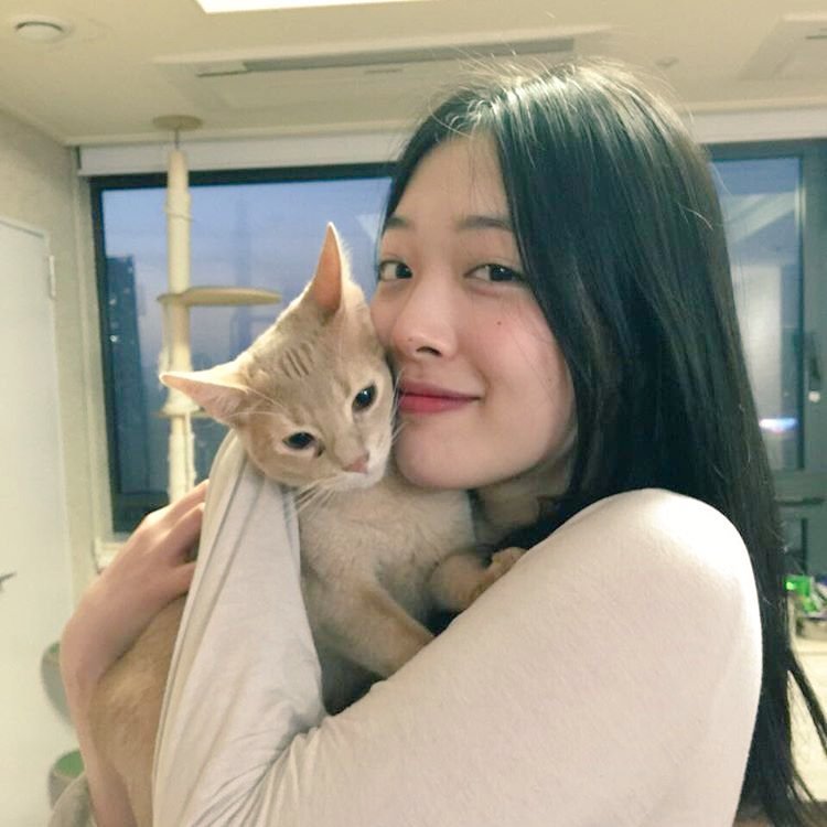 theseolli's tweet photo. With the news about Sulli given to us, my heart is broken like many of you. I loved her dearly and always stood by her side. 

Rest in peace angel, you were truly one of a kind, and you will be deeply missed. https://t.co/Ar9lKvrbO8