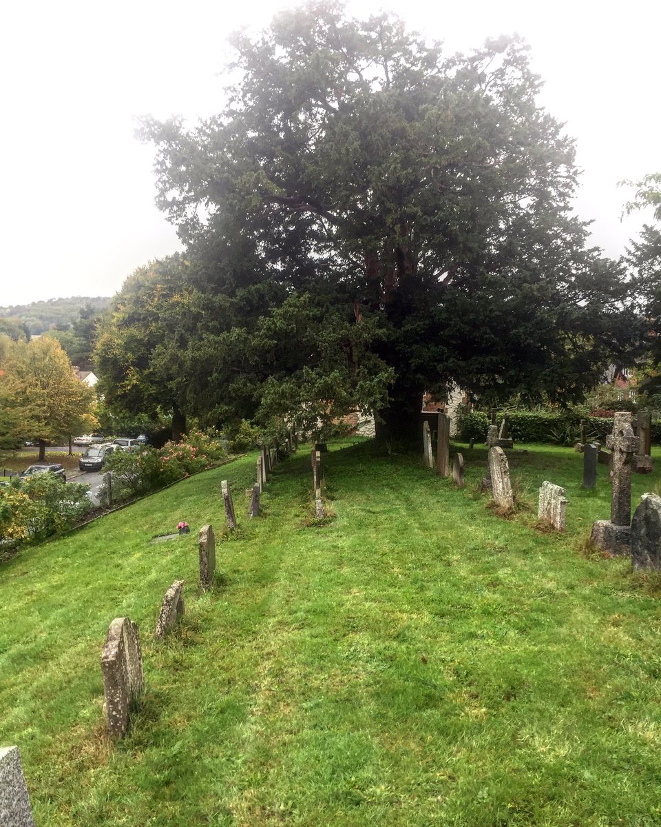 julianchenery's tweet photo. “Perfect” day for a funeral
#ChrisNeal https://t.co/HMcFZPw7ZK