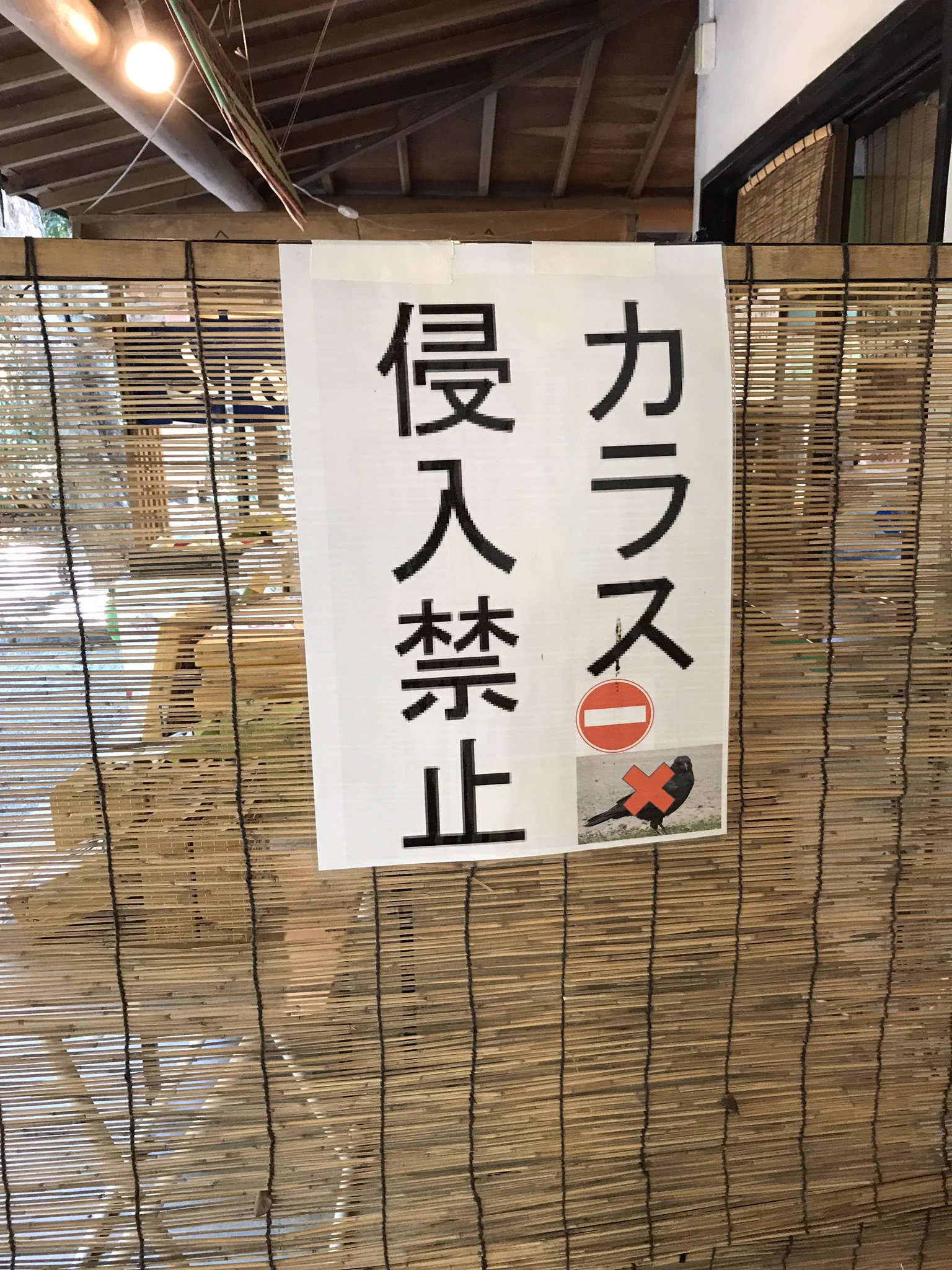 @hotate66 @itoi_shigesato 自分も以前見かけました。 