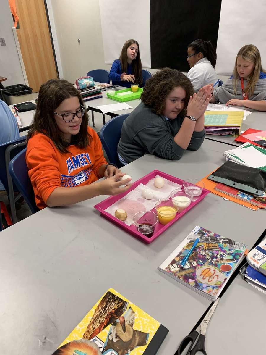 6th Grade Healthcare Science determine the effects of acid on teeth...(or eggs)