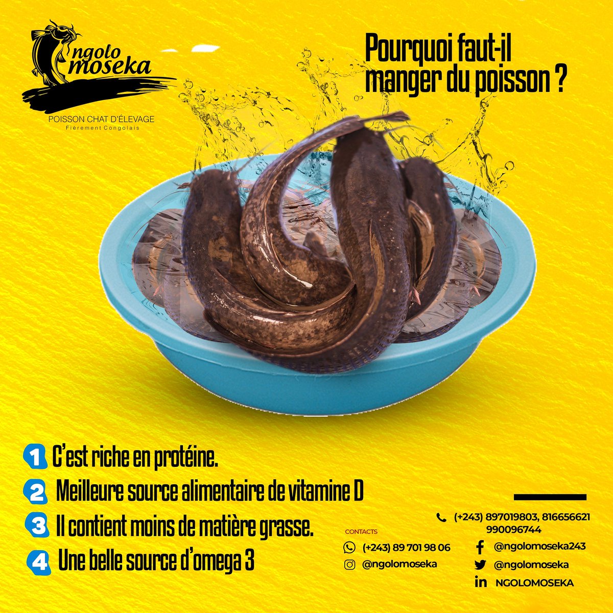 Ngolomoseka At Ngolomoseka Twitter