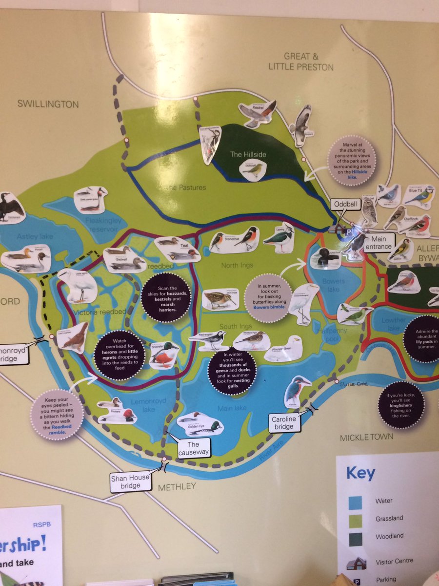 Jacquimoosey's tweet photo. Sightings at #StAidans at the weekend included long billed dowitcher jack snipe bufflehead bearded tit and goldeneye thanks to @SwillyIngsBG for updates #Leeds #Yorkshire https://t.co/046d71UEnv
