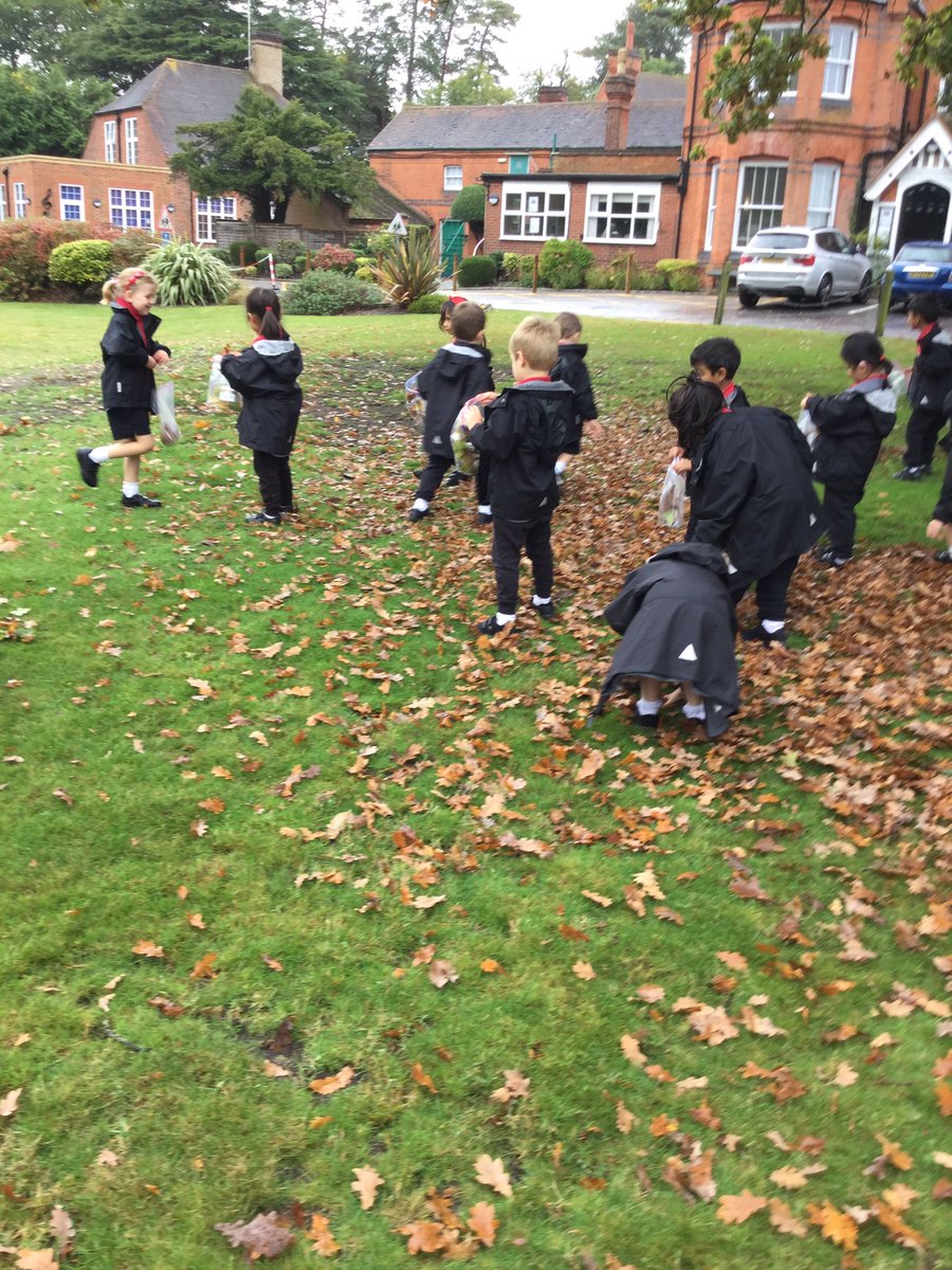 BGS_LowerSch's tweet photo. Reception went on a Autumn walk, we looked at the different trees and discussed if they were evergreen or deciduous. The children collected a range of natural items which they will make into a picture.#BGSreception #BGSindependence #BGSart https://t.co/Q7ZcjsqIkZ