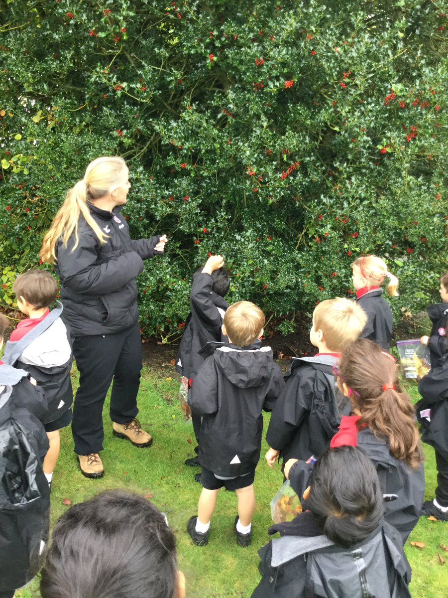 BGS_LowerSch's tweet photo. Reception went on a Autumn walk, we looked at the different trees and discussed if they were evergreen or deciduous. The children collected a range of natural items which they will make into a picture.#BGSreception #BGSindependence #BGSart https://t.co/Q7ZcjsqIkZ