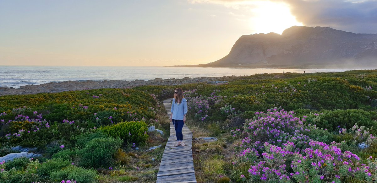 A little slice of heaven right on the doorstep of the magnificent Whaler's Point Guesthouse in #Kleinmond. Fragrant fynbos, crashing waves and a dipping sun make for #moments like these! #morningbeautiful #roadtrip #weekendgetaway #discoveroverberg