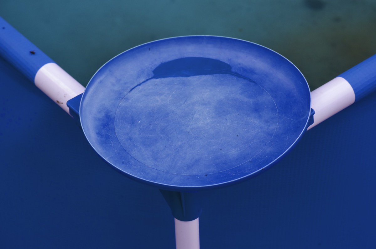 Blau. Sehr blau. Aber was ist es? #Blau #Blue #Photography simonswol.de