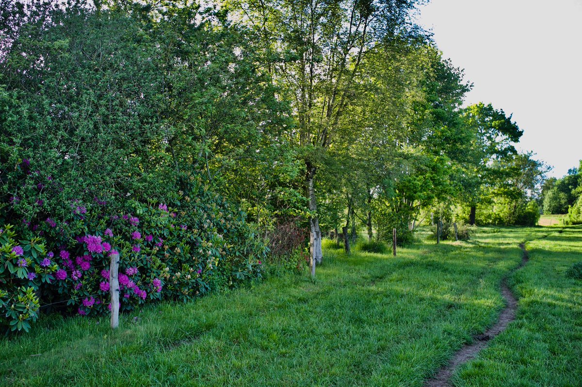 Von wem ist die Spur? #Ostfriesland #Nature
simonswol.de