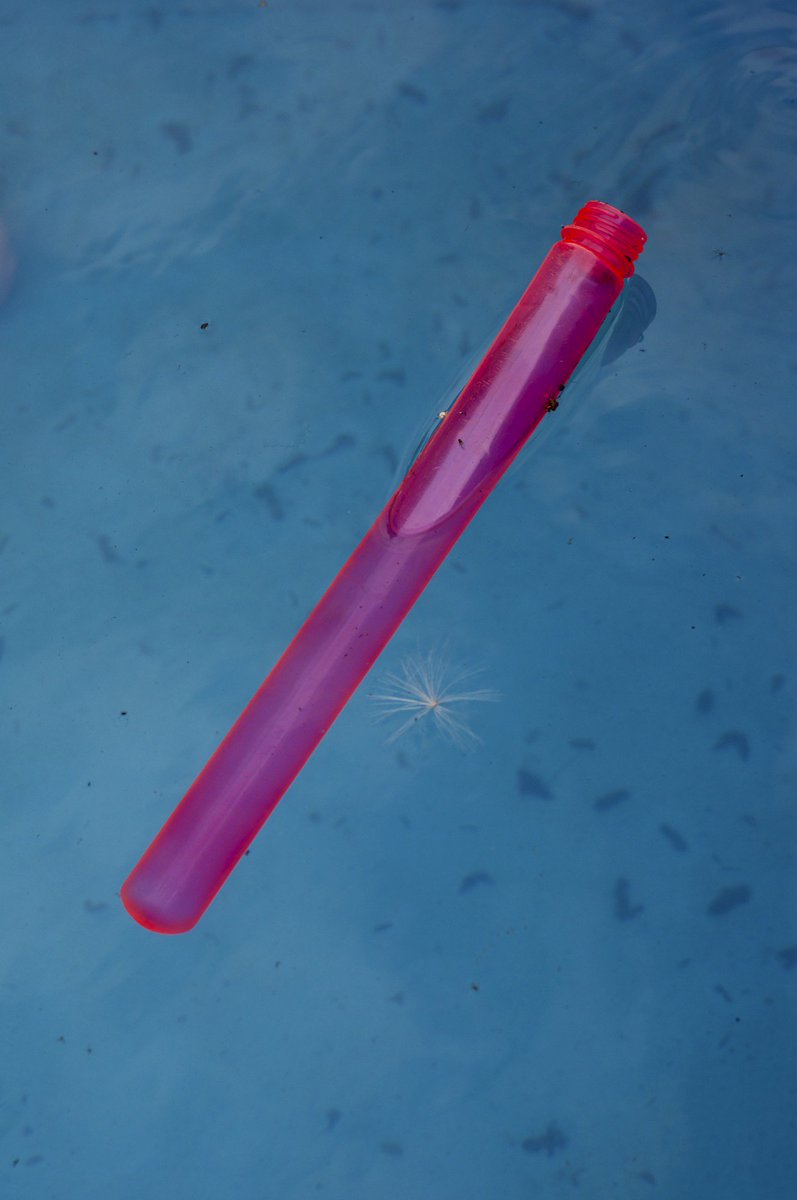 #Spielzeug im #Pool. Ist es (#Foto-)#Kunst oder kann das weg? #Fotografie #Photography simonswol.de