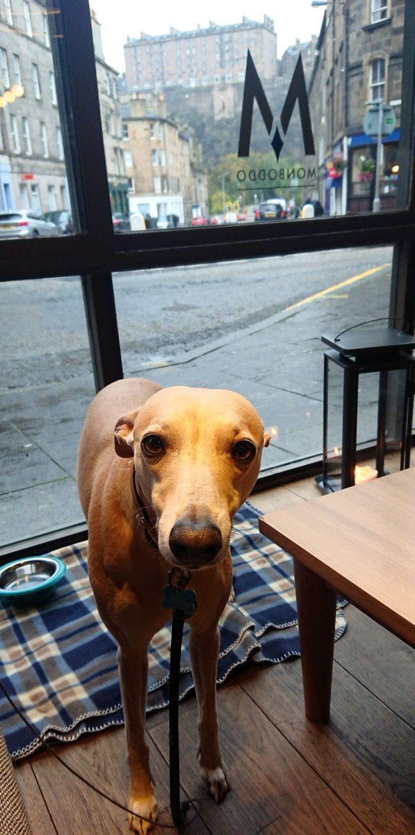 Monboddo1's tweet photo. We are now a DOG FRIENDLY VENUE! Dobby the Whippet was thrilled to find this out on Sunday...especially when it started to tip it down! A view of the Castle, shelter from the rain and a cozy blanket = happy Dobby! 
Drop in the next time you get caught in the rain :D
#dogfriendly https://t.co/OoZUWflu1z