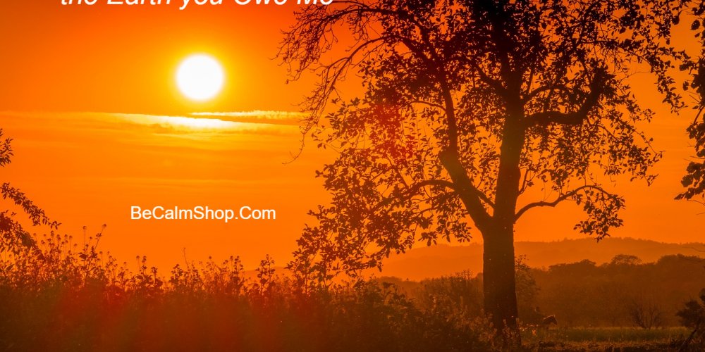 Like and share!