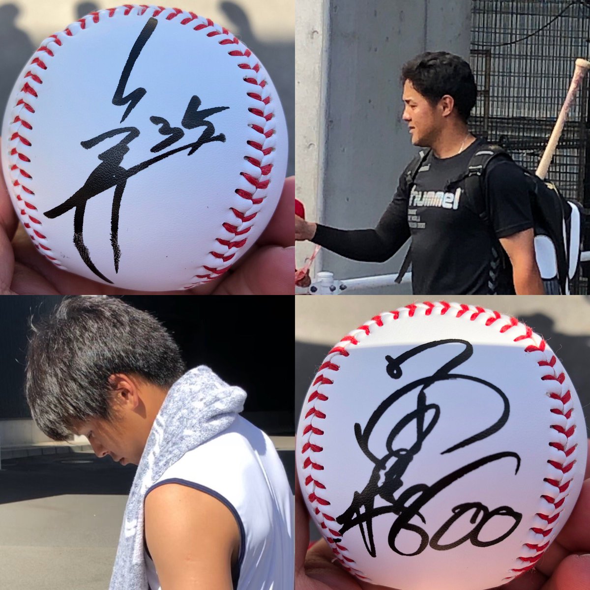 hammer0088's tweet photo. 頑張れ若鯉たち！来シーズンもがんばれ！
しかし今日はいい日だった。サインありがとう(^^)
#カープ https://t.co/iuPyjLlFX3