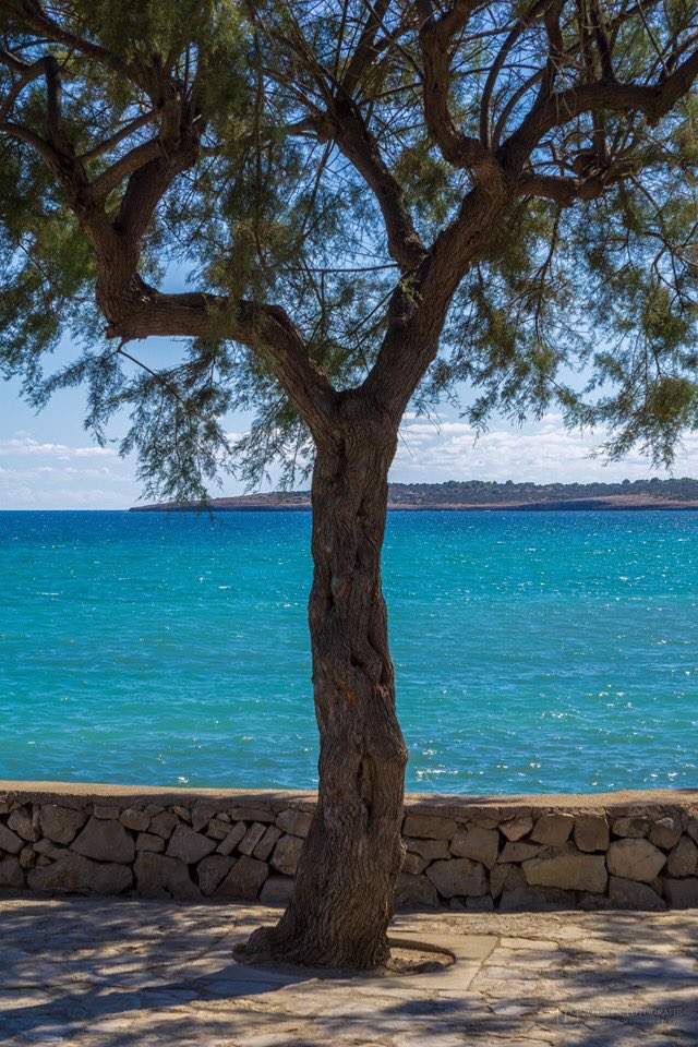 Forster_Steffi's tweet photo. Das Rauschen des Meeres #Mittelmeer ist Balsam für die Seele und Körper. Zuhause #Mallorca ist dort wo das Herz glücklich ist #CalaMillor.. https://t.co/PQAd1HNjJt