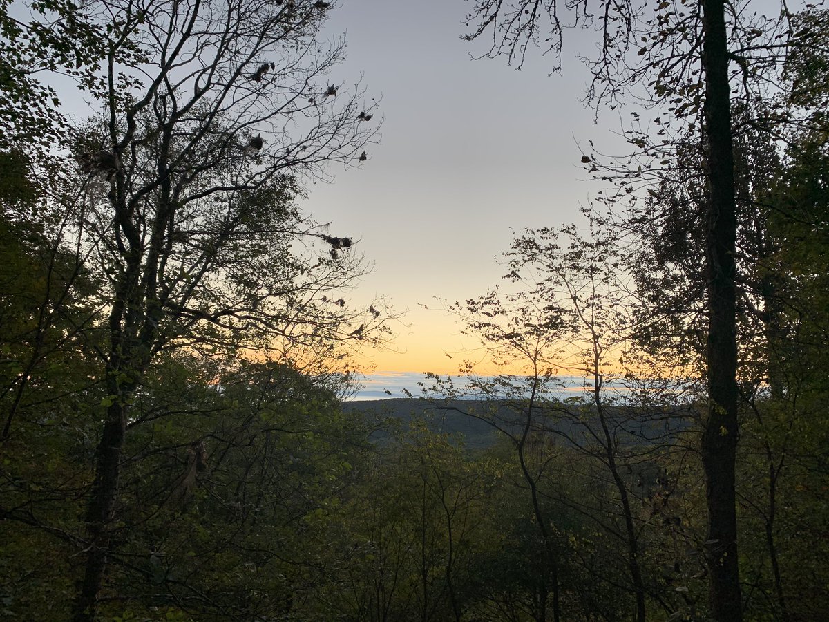 Neisa Condemaita (@neisacondemaita) on Twitter photo I love sunrises! They are always so magic, especially when you can see many states: Kentucky, Tennessee, North Carolina, Virginia and West Virginia. The camaraderie of the people and this city is amazing! Thank you <a href="/ExploreNortonVA/">Explore Norton VA</a> I love sunrises! They are always so magic, especially when you can see many states: Kentucky, Tennessee, North Carolina, Virginia and West Virginia. The camaraderie of the people and this city is amazing! Thank you <a href="/ExploreNortonVA/">Explore Norton VA</a>