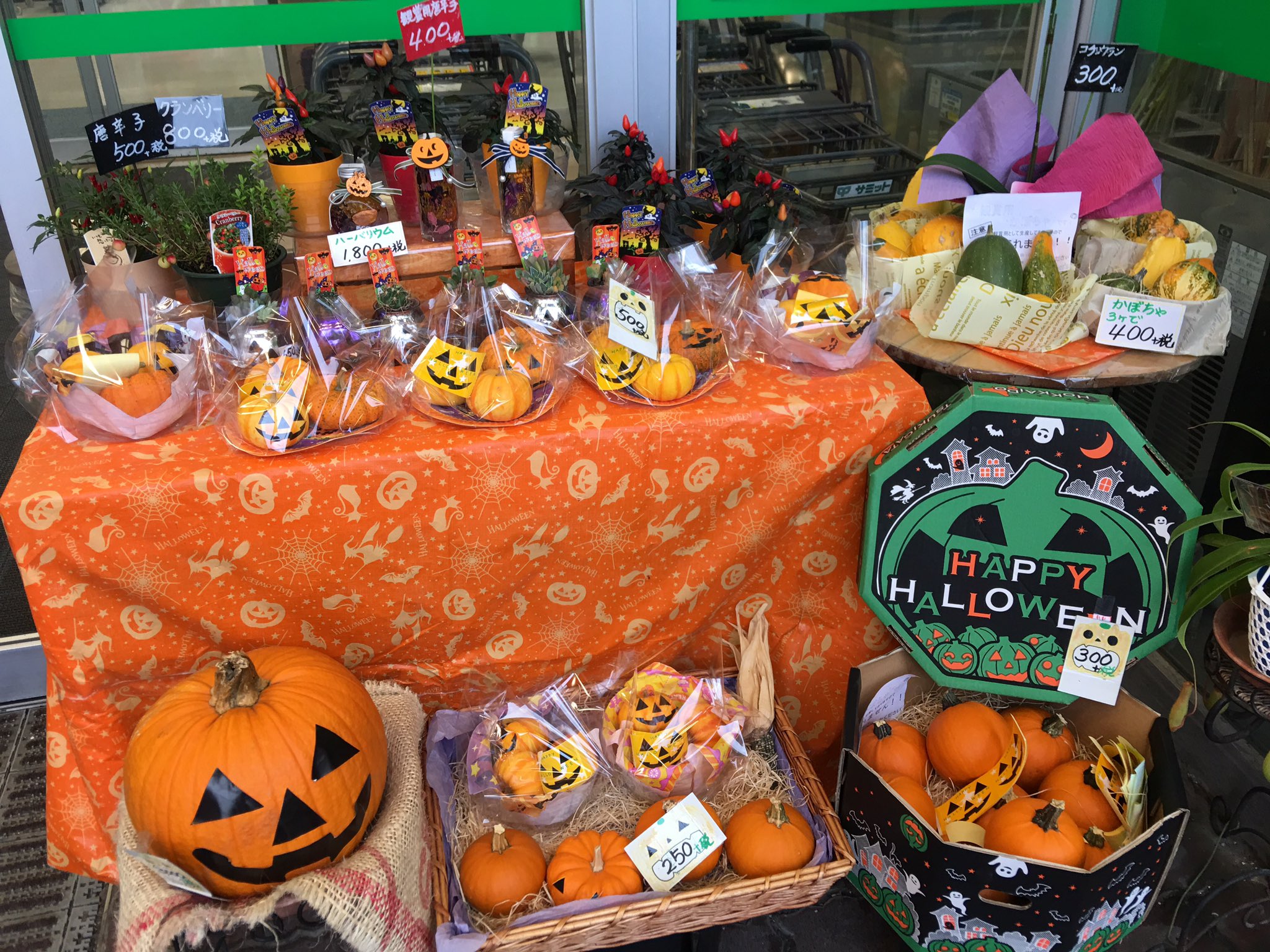 サミットストア王子店 サミット王子店1階の花屋 のん もハロウィン に合わせて色々なお花や観賞用かぼちゃ 取り扱っていますよ 見るだけ楽しくなりますね サミット 王子 花屋 T Co Wmlxmboydq Twitter
