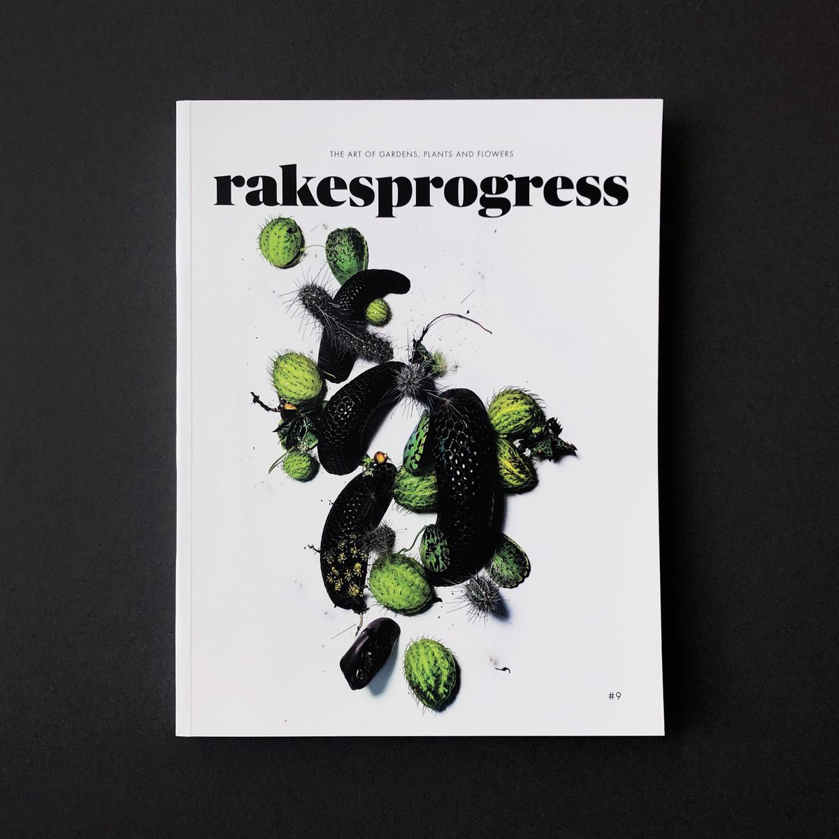 snug gallery tweet media