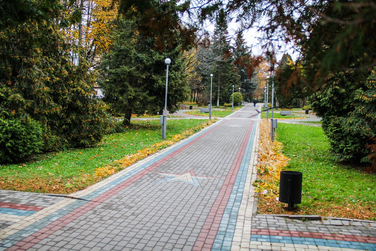 SV_Nosov's tweet photo. #Родники Золотая осень в парке Победы https://t.co/lFpVNxMLMo