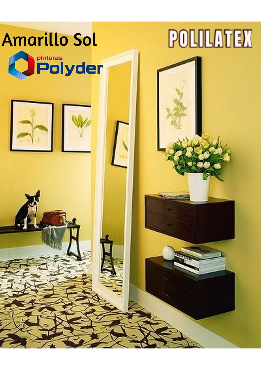 ppolyder's tweet image. ¡Buenos días y feliz inicio de semana! Amarillo sol de nuestra linea #Polilatex ese color es luminoso, fresco y evoca la felicidad. Este color es ideal para pintar cocinas o baños, pues es estimulante. #FelizLunes #FelizInicioDeSemana #felizLunesAtodos