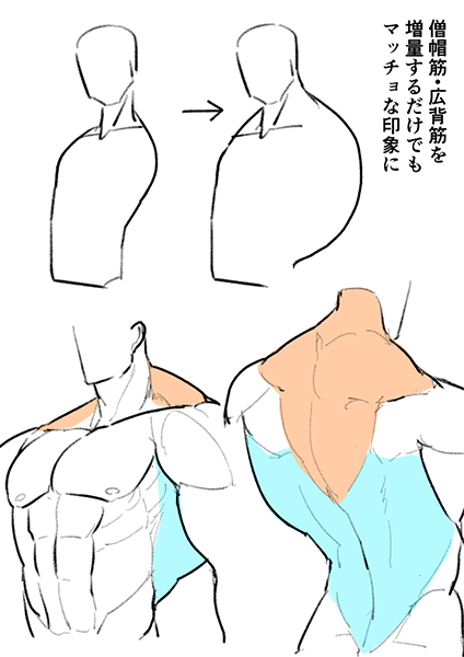 教科書 頭身や体形など Togetter