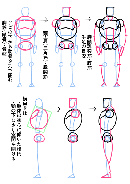 教科書 頭身や体形など Togetter