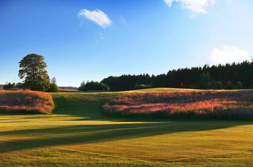 Green fees at this time of year are great value if you book online so click ➡️ qhotels.co.uk/golf to get your golfing fill before the big chill ❄️