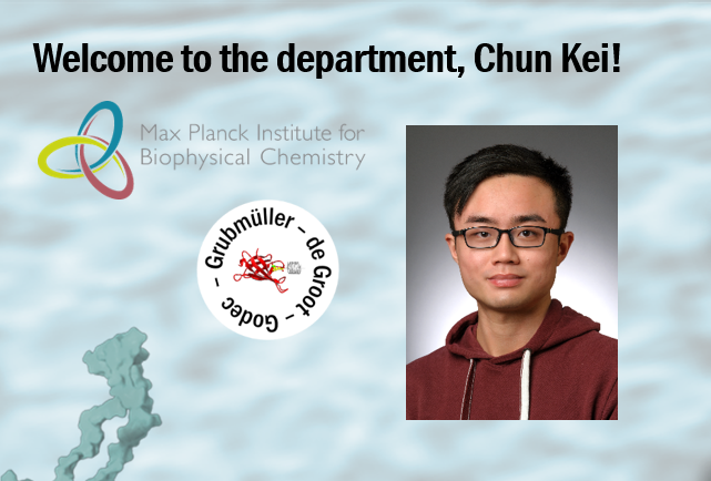 CompBioPhys's tweet image. 🆕👋We warmly welcome our new PhD student Chun Kei (Tom) Lam, coming from Chinese University of Hong Kong, to work on MD simulations of mutants affecting gating in potassium channels @CompBioPhys in the Computational Biomolecular Dynamics research group of Bert #deGroot @mpi_bpc