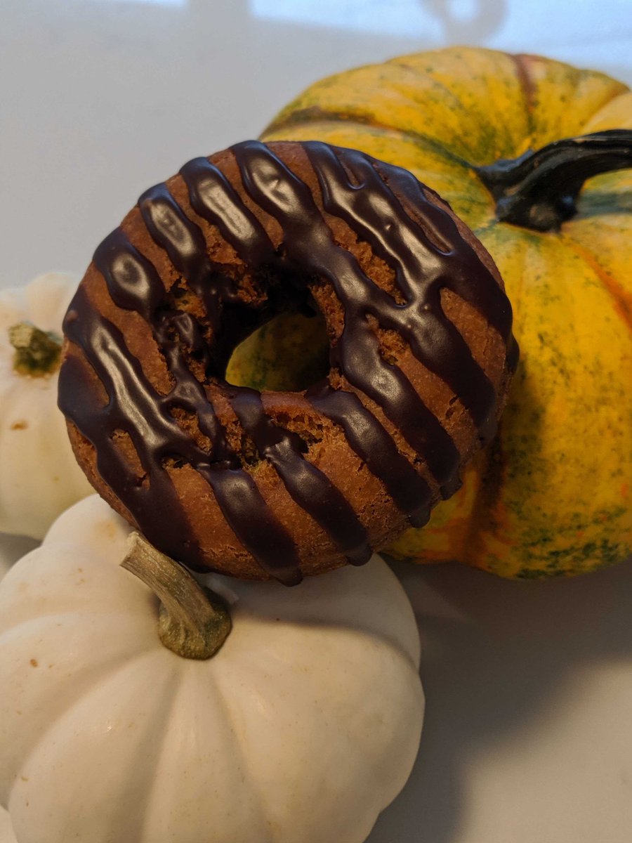 Weekly Special: Pumpkin Cake with Chocolate Drizzle Ⓥ