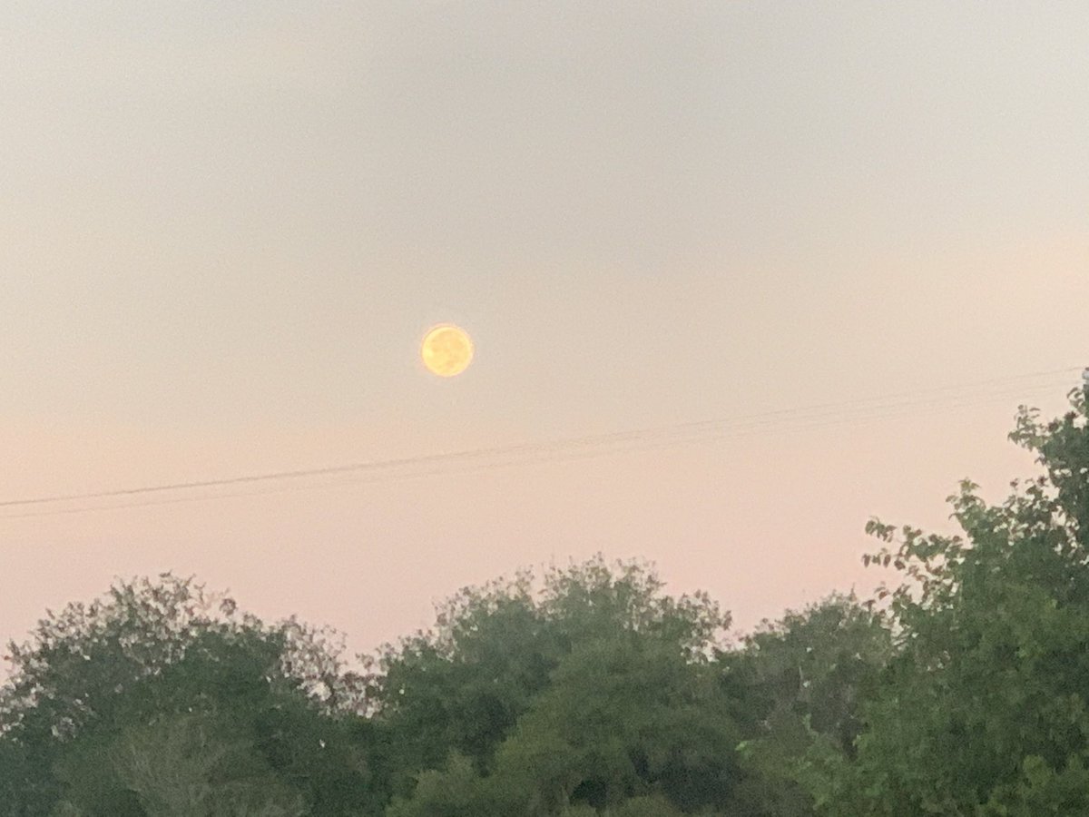MagalyGtz19's tweet photo. Les deseo un feliz lunes 💙🥰#OctoberMornings https://t.co/8EFPYkk4RG