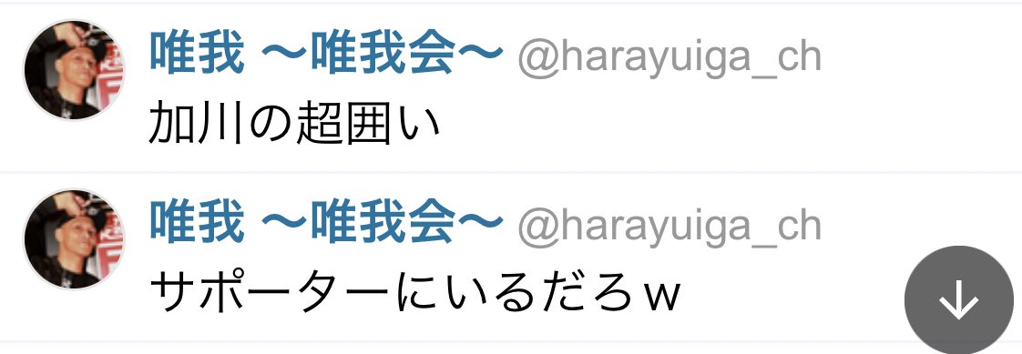 サイバーりかぴー