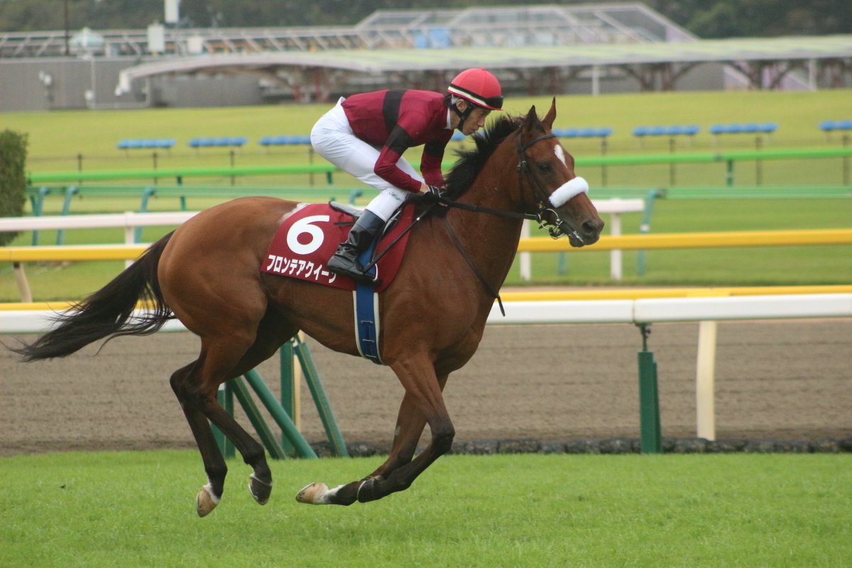 HiyoshiPocket's tweet photo. 2019/10/14
#フロンテアクイーン
#津村明秀
#府中牝馬S
#FrontierQueen
#東京競馬場 https://t.co/JxyoWaMCgw
