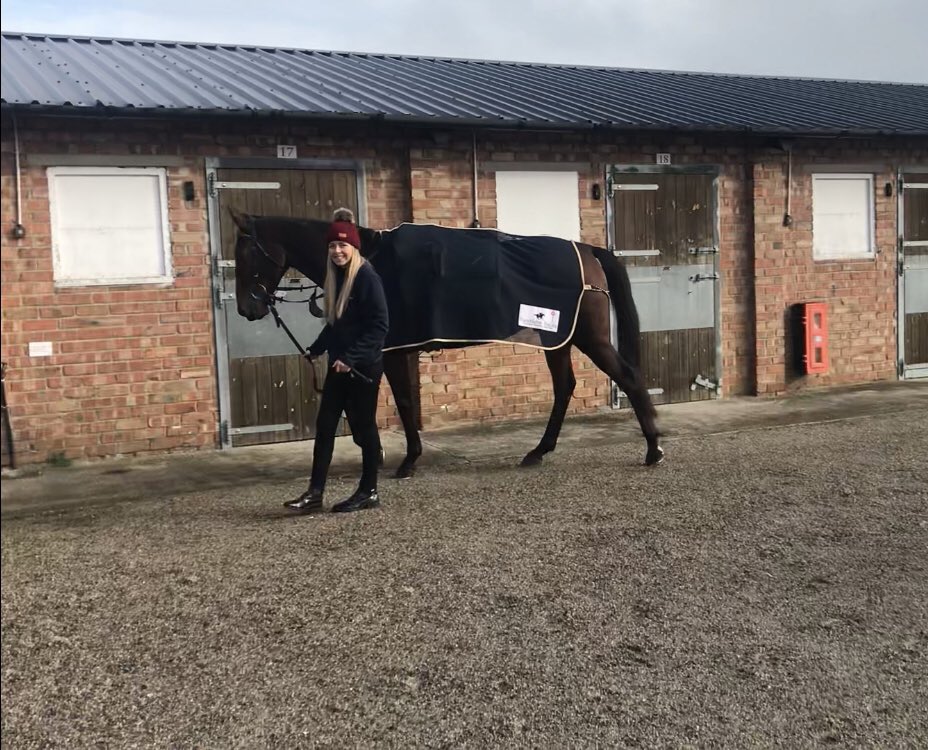 HambletonRacing's tweet photo. Great morning @WetherbyRaces for @YorkshireRacing Jumps launch. Whoshotthesheriff looked great along with @PKirbyRacing stablemates Top Ville Ben and Lady Buttons before a gallop under @SquinlanSean #Wintersonitsway #Exciting https://t.co/LnJwnniais