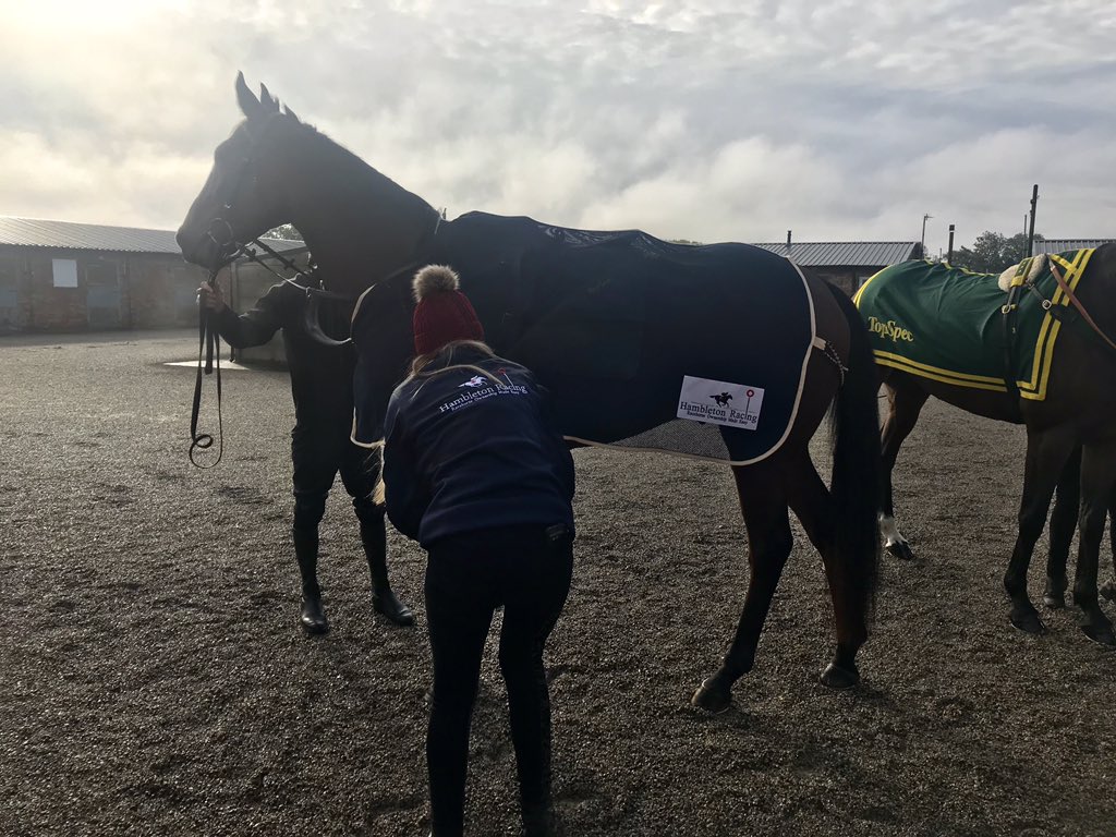 HambletonRacing's tweet photo. Great morning @WetherbyRaces for @YorkshireRacing Jumps launch. Whoshotthesheriff looked great along with @PKirbyRacing stablemates Top Ville Ben and Lady Buttons before a gallop under @SquinlanSean #Wintersonitsway #Exciting https://t.co/LnJwnniais
