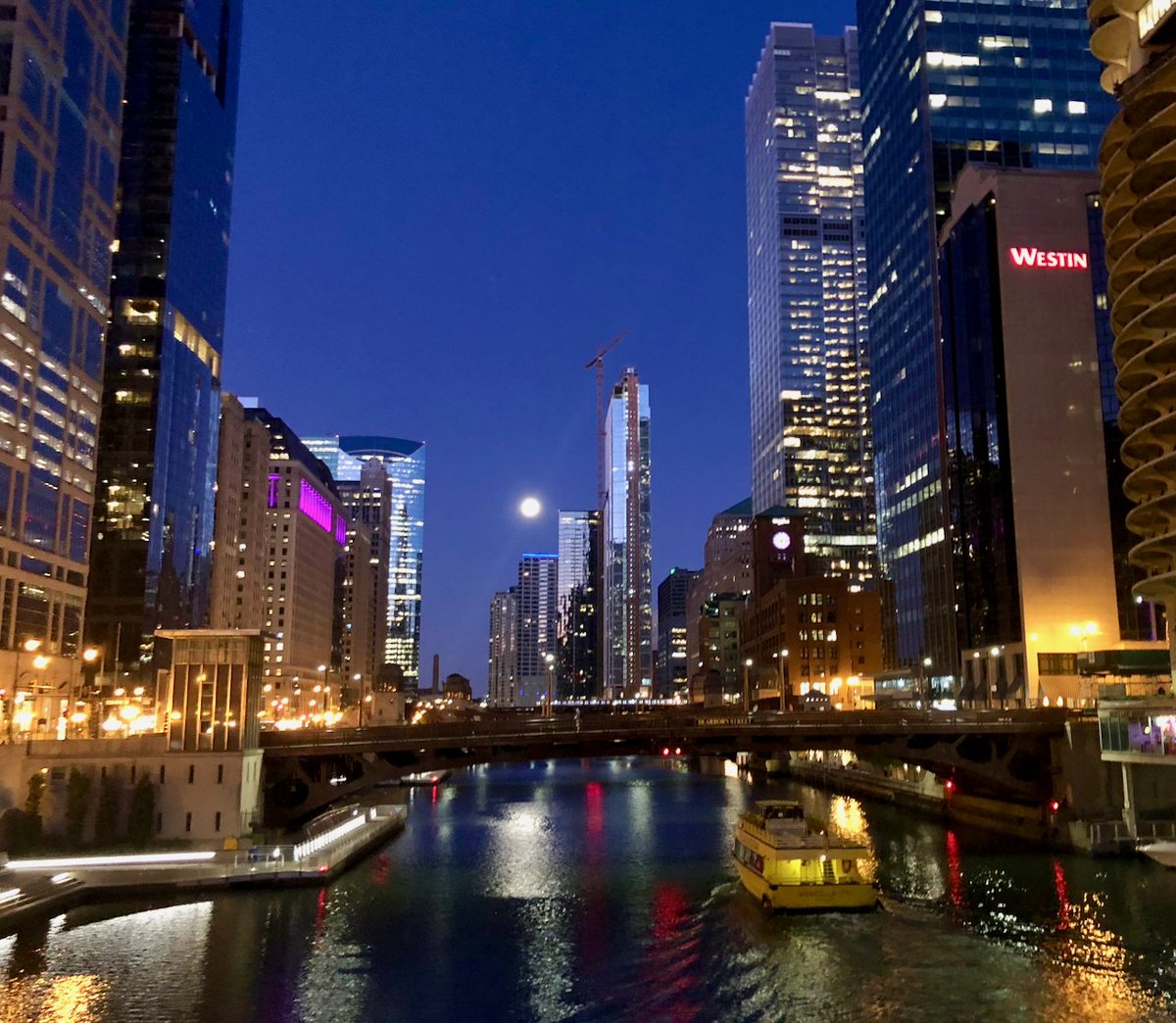lyonwj's tweet image. Is there a Eulerian path across downtown Chicago&apos;s bridges? 

Find me at the @neo4j booth this week at @Dataversity&apos;s #Graphorum and show me your solution using #Neo4j for a special Graph Prize!