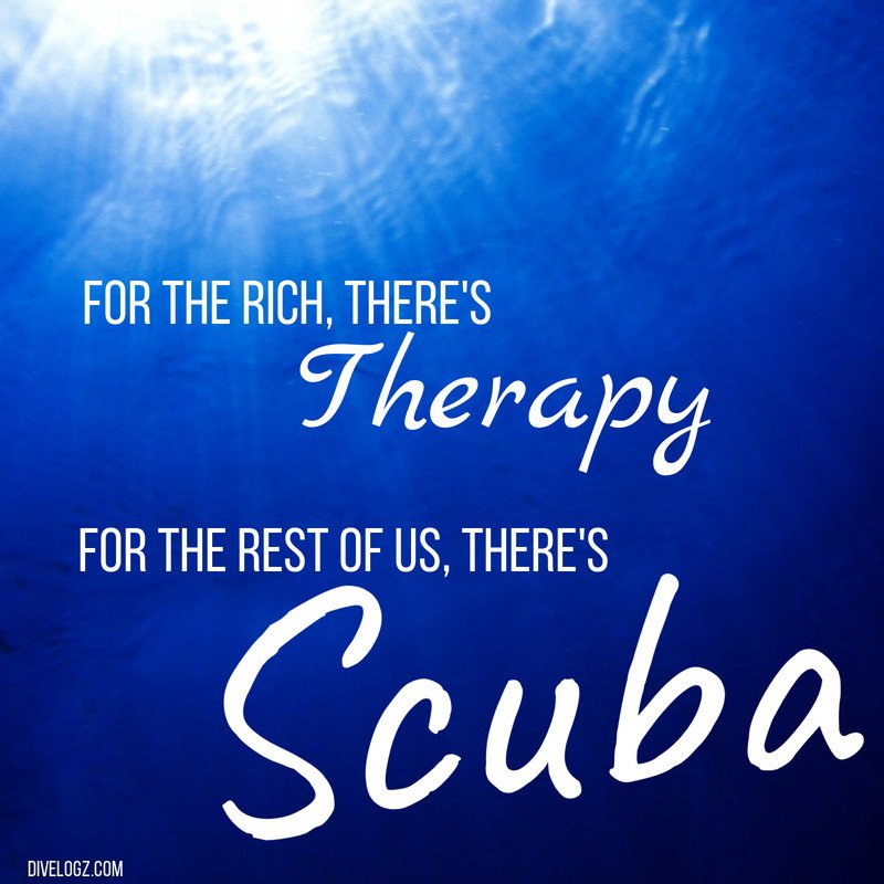 DiveLogz's tweet image. 