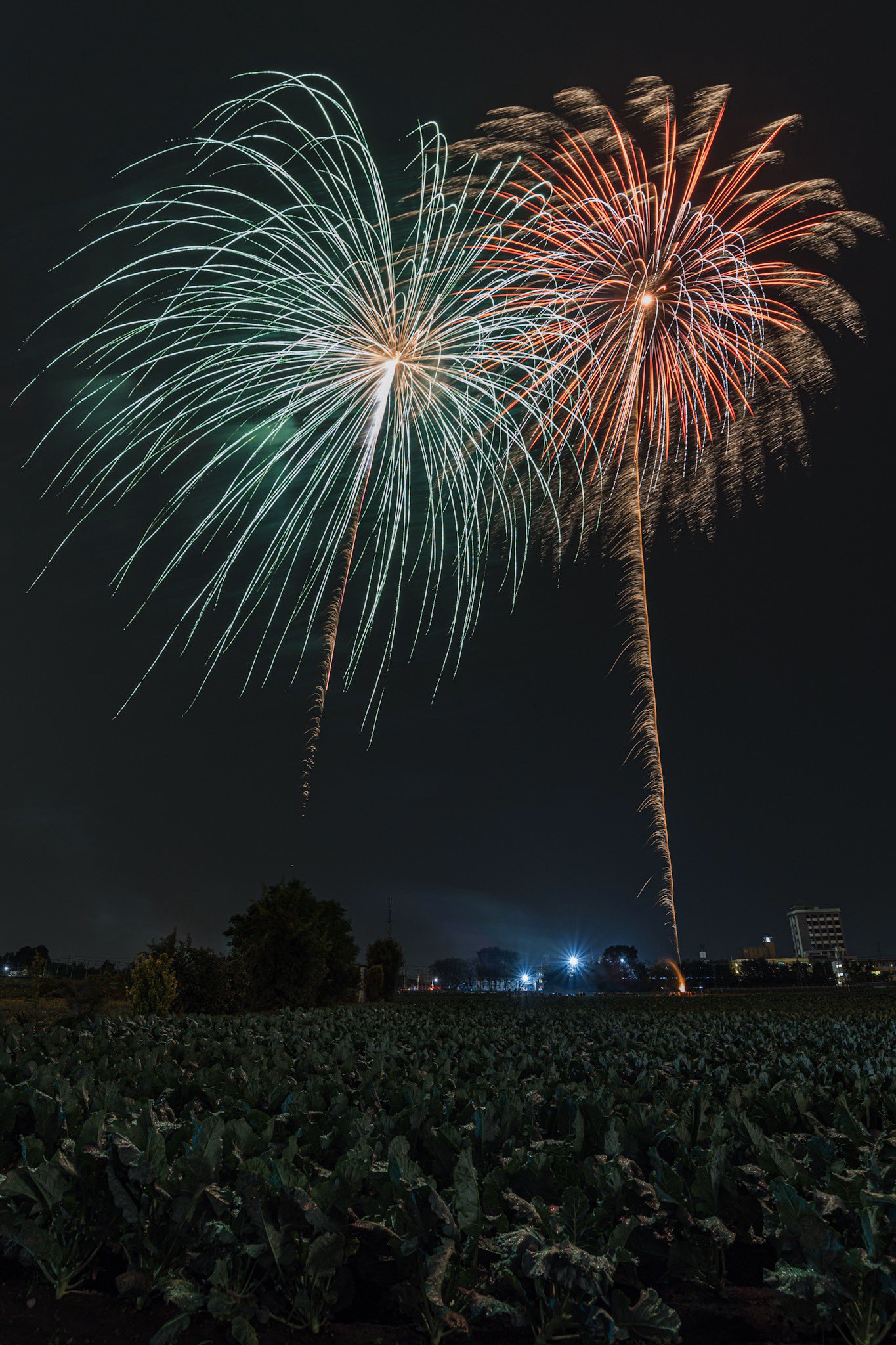 おーわ 深谷市 旧岡部町 のコスモス祭りたるイベントで花火が打ち上がると聞きつけ お散歩がてら行くことに 雨と肌寒さの中でしたが ゆるーい感じで打ち上がる花火がとても良きでした おかべコスモス祭 埼玉 花火 T Co Metnkjkbqm Twitter